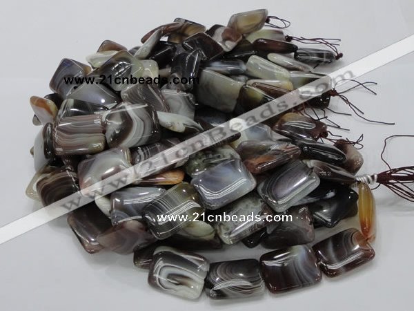 CAG741 15.5 inches 18*24mm rectangle botswana agate beads wholesale