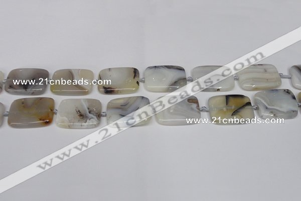 CAG7423 15.5 inches 18*25mm rectangle Montana agate beads