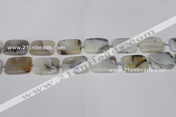 CAG7423 15.5 inches 18*25mm rectangle Montana agate beads