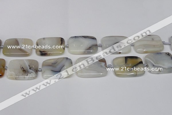 CAG7425 15.5 inches 25*35mm rectangle Montana agate beads