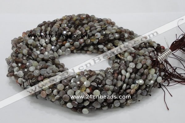 CAG749 15.5 inches 6mm faceted coin botswana agate beads wholesale