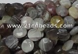 CAG750 15.5 inches 8mm faceted coin botswana agate beads wholesale