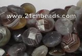 CAG751 15.5 inches 10mm faceted coin botswana agate beads wholesale