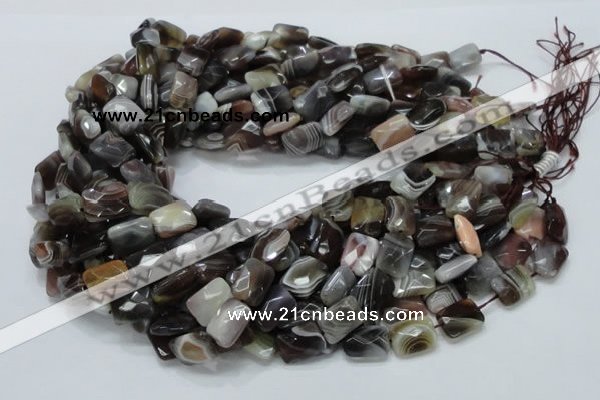 CAG759 15.5 inches 10*14mm faceted rectangle botswana agate beads