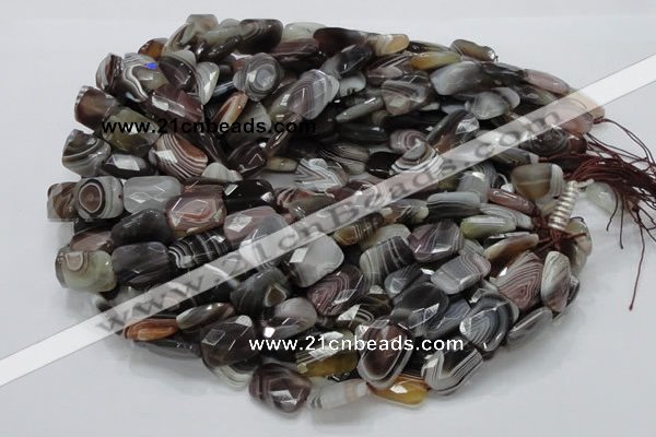 CAG760 15.5 inches 14*18mm faceted rectangle botswana agate beads