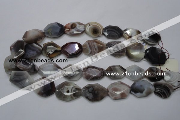 CAG761 15.5 inches 18*25mm faceted freeform botswana agate beads