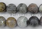 CAG7871 15.5 inches 16mm faceted round silver needle agate beads