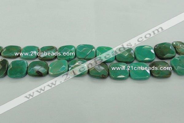 CAG7917 15.5 inches 25*25mm faceted square grass agate beads