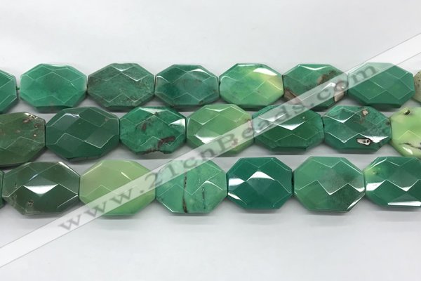 CAG7929 15.5 inches 22*30mm - 25*25mm faceted octagonal grass agate beads