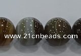 CAG9207 15.5 inches 16mm round line agate gemstone beads