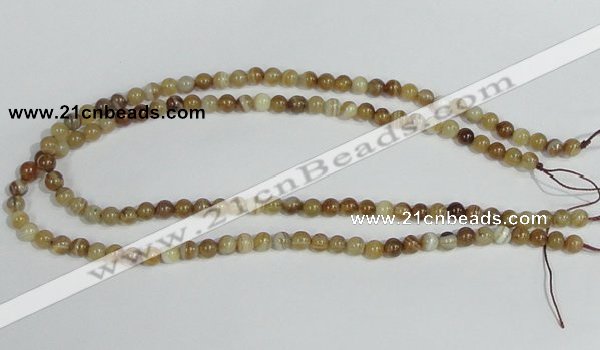 CAG936 16 inches 6mm round madagascar agate gemstone beads