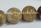 CAG943 16 inches 20mm round madagascar agate gemstone beads