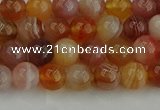 CAG9561 15.5 inches 6mm round red botswana agate gemstone beads