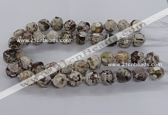 CAG9611 15.5 inches 14*16mm - 15*18mm faceted nuggets ocean agate beads