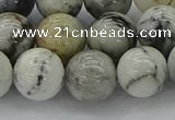 CAG9734 15.5 inches 12mm round black & white agate beads wholesale