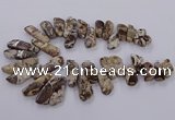 CAG9755 Top drilled 10*20mm - 16*50mm freeform ocean agate beads