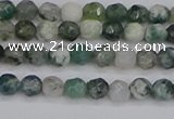 CAG9823 15.5 inches 4mm faceted round moss agate beads