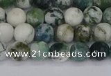 CAG9838 15.5 inches 6mm faceted round tree agate beads