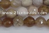 CAG9854 15.5 inches 8mm faceted round ocean fossil agate beads