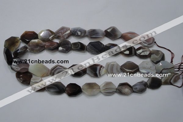 CAG990 15.5 inches 15*20mm faceted freeform botswana agate beads