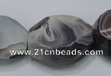 CAG991 15.5 inches 25*30mm faceted freeform botswana agate beads