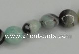 CAM121 15.5 inches 12mm flat round amazonite gemstone beads