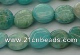 CAM1592 15.5 inches 10mm flat round Russian amazonite beads