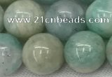 CAM1684 15.5 inches 12mm round natural amazonite beads wholesale