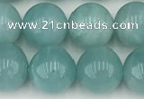 CAM1740 15.5 inches 10mm round amazonite gemstone beads
