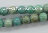 CAM524 15.5 inches 10mm round mexican amazonite gemstone beads