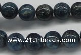 CAP02 16 inches 12mm round apatite gemstone beads wholesale