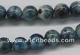 CAP06 15.5 inches 10mm round apatite gemstone beads wholesale