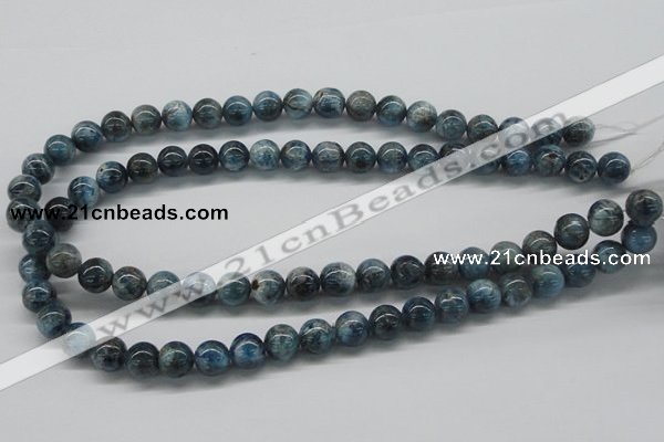 CAP06 15.5 inches 10mm round apatite gemstone beads wholesale