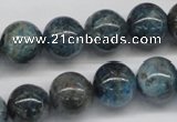 CAP07 15.5 inches 14mm round apatite gemstone beads wholesale