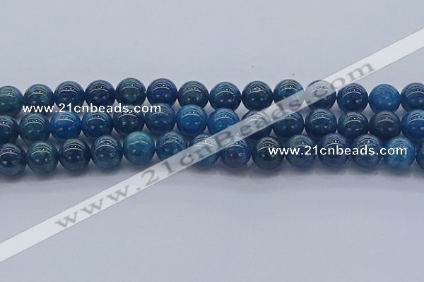 CAP363 15.5 inches 10mm round apatite gemstone beads wholesale