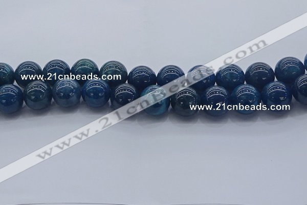 CAP366 15.5 inches 16mm round apatite gemstone beads wholesale