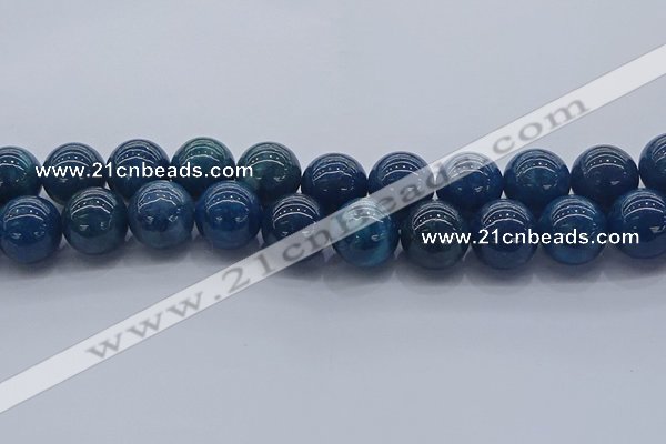 CAP367 15.5 inches 18mm round apatite gemstone beads wholesale