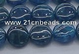 CAP381 15.5 inches 10mm flat round apatite gemstone beads