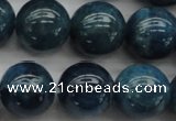 CAP403 15.5 inches 10mm round A grade natural apatite beads