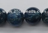 CAP404 15.5 inches 12mm round A grade natural apatite beads