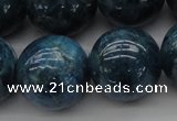 CAP405 15.5 inches 14mm round A grade natural apatite beads