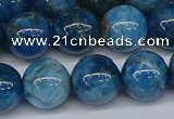 CAP414 15.5 inches 12mm round apatite gemstone beads wholesale