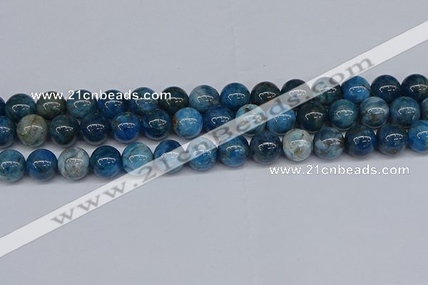 CAP414 15.5 inches 12mm round apatite gemstone beads wholesale