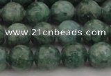 CAP501 15.5 inches 8mm round natual green apatite beads