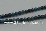 CAP51 15.5 inches 4mm round dyed apatite gemstone beads wholesale