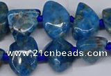 CAP532 15.5 inches 10*12mm - 16*22mm freeform apatite beads