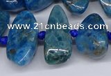 CAP533 15.5 inches 10*20mm - 15*35mm freeform apatite beads