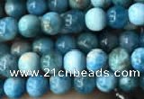 CAP576 15.5 inches 4mm round apatite beads wholesale