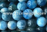 CAP577 15.5 inches 6mm round apatite beads wholesale