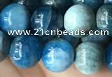 CAP579 15.5 inches 10mm round apatite beads wholesale